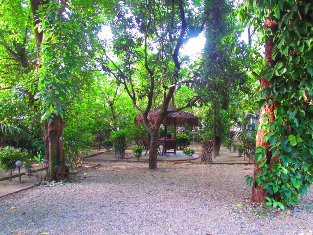 Chitwan Gaida Lodge Саураха Экстерьер фото