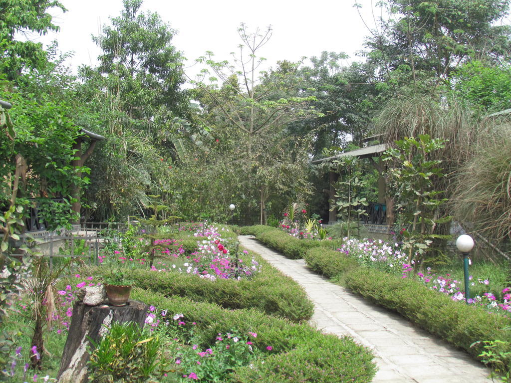 Chitwan Gaida Lodge Саураха Экстерьер фото