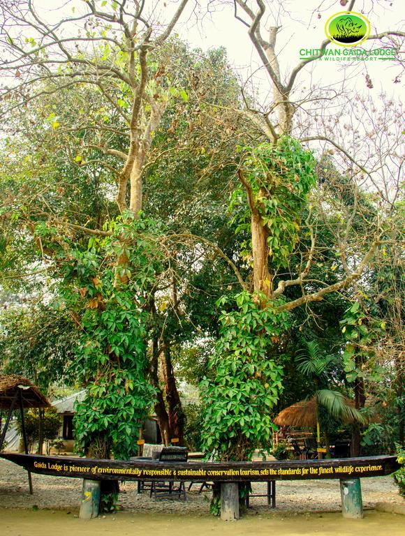 Chitwan Gaida Lodge Саураха Экстерьер фото