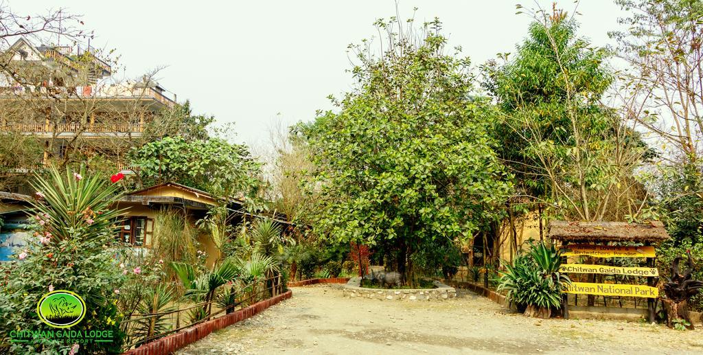 Chitwan Gaida Lodge Саураха Экстерьер фото