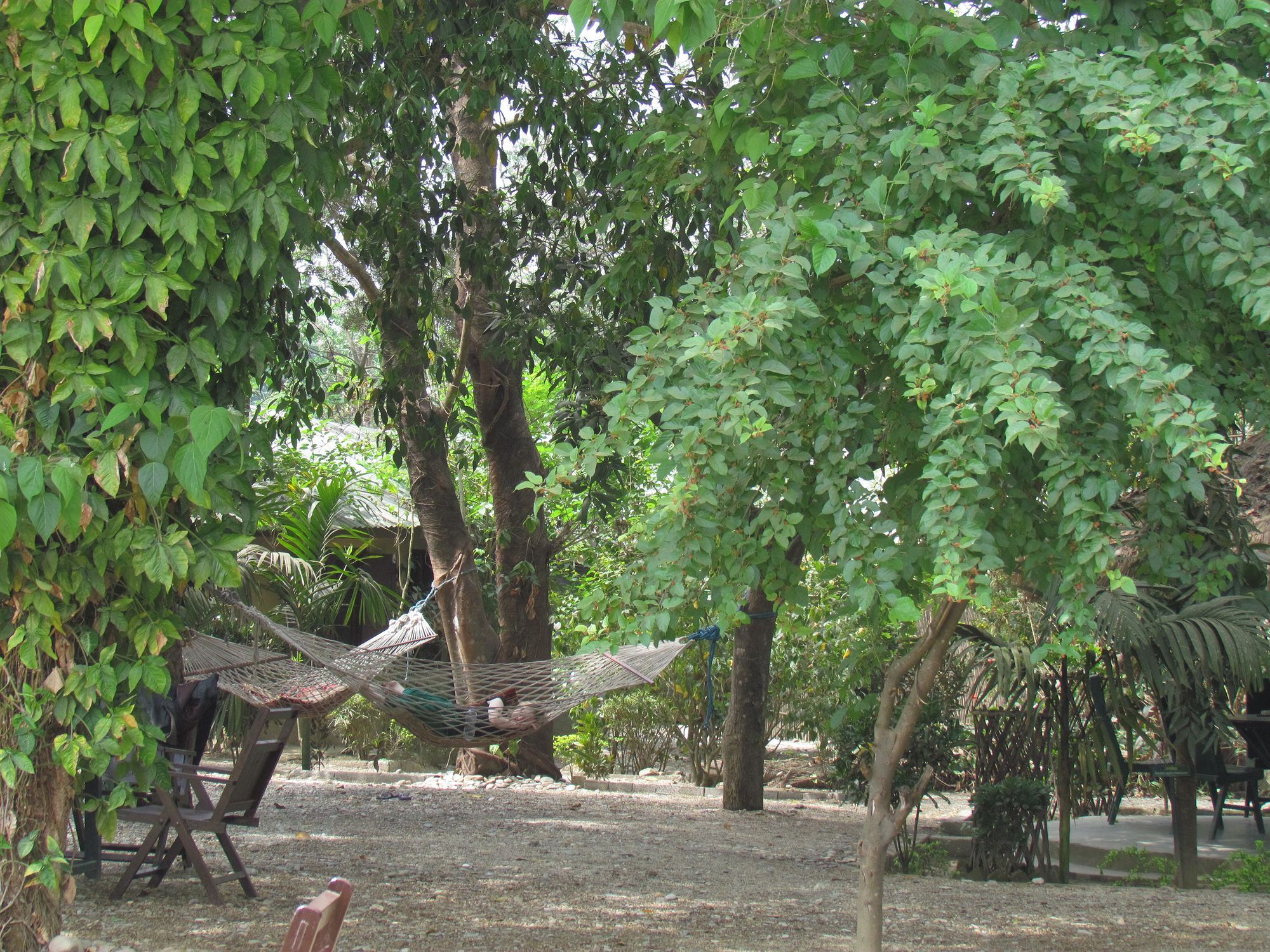 Chitwan Gaida Lodge Саураха Экстерьер фото