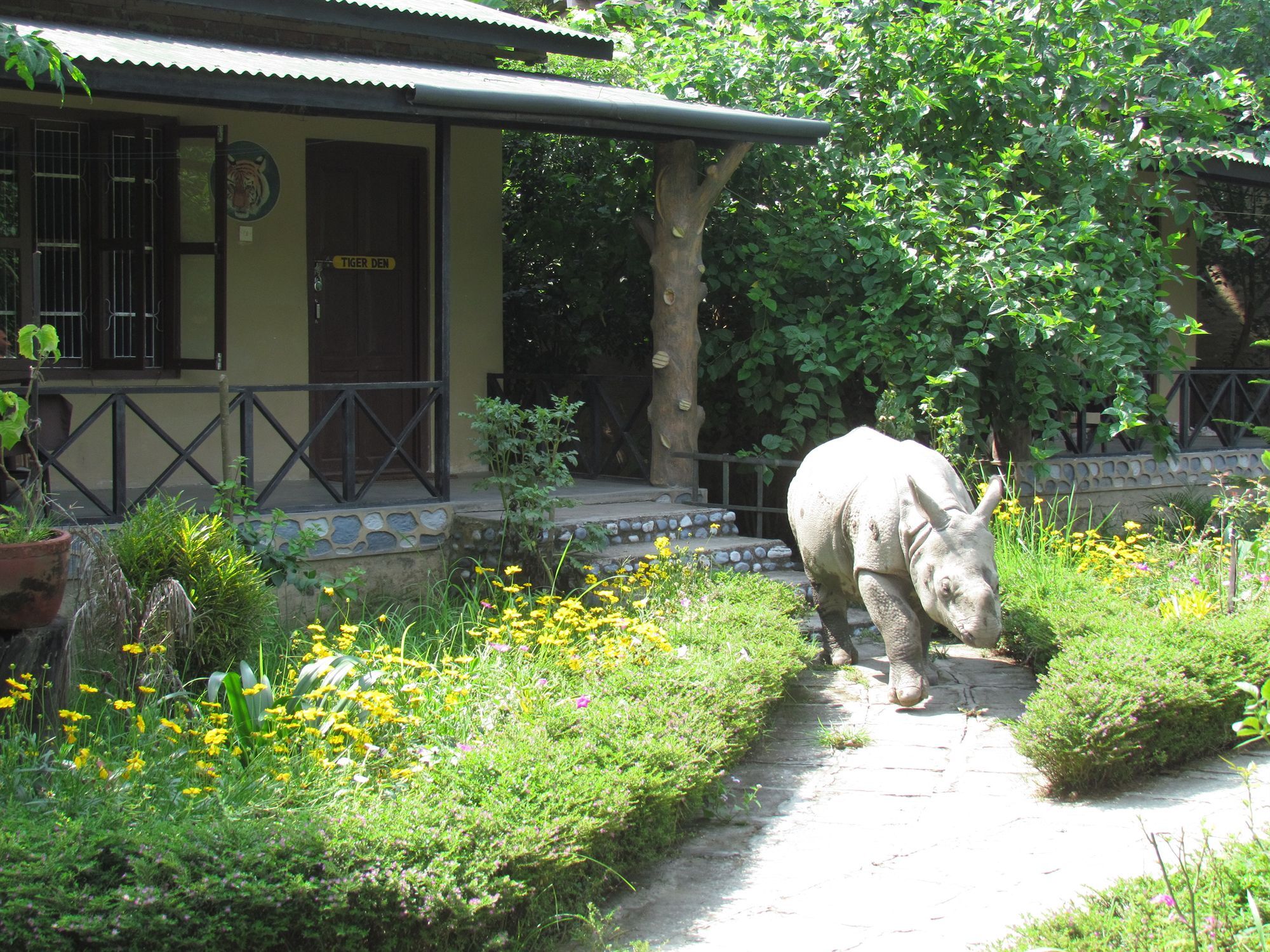 Chitwan Gaida Lodge Саураха Экстерьер фото
